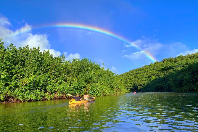 Kauai Adventure: Kayak & Hike to Secret Falls with Expert Guide - How to prepare for mud, rain, and river crossings