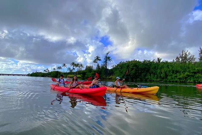 Kauai Adventure: Kayak & Hike to Secret Falls with Expert Guide - Should you book the paddle to Secret Falls?