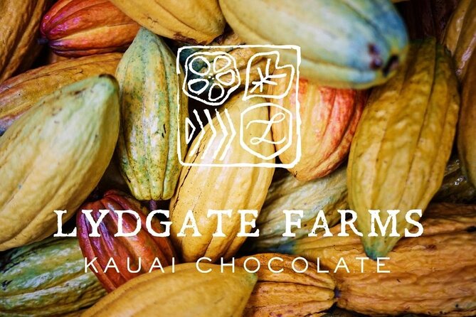 Kauai Chocolate Farm Tasting Tour - The surprising taste of fresh cacao fruit