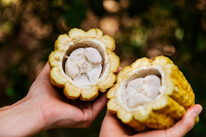 Kauai Chocolate Farm Tasting Tour - Is three hours worth $145?