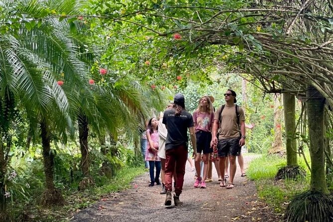 Kauai Chocolate Farm Tasting Tour - Walking through the cacao garden