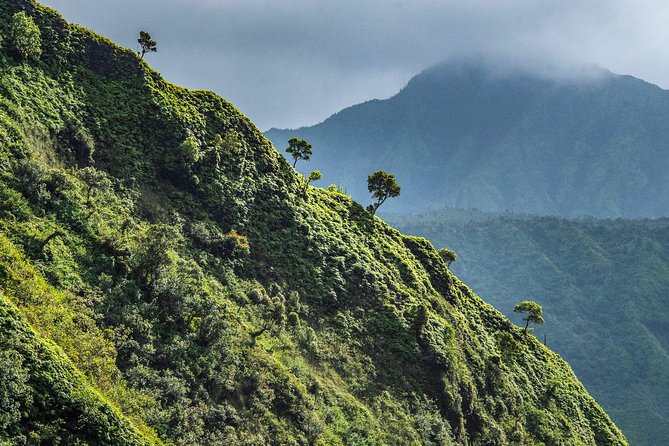 Kauai Eco Adventure Helicopter Tour - Lihue, Nawiliwili, and the east coast