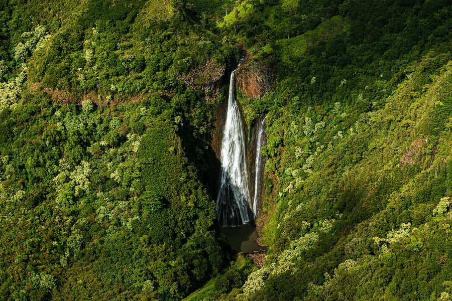 Kauai: Entire Kauai Air Tour with Window Seats - What the small aircraft feels like