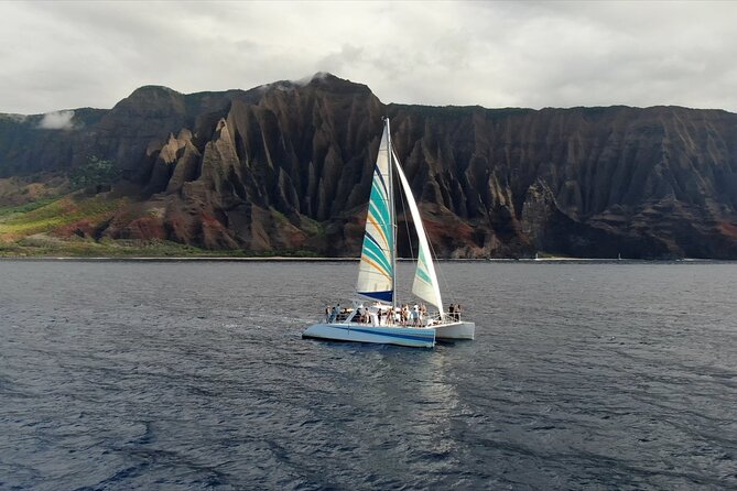 Kauai: Leila Na Pali Sunset Dinner Sail - Wildlife along the coast