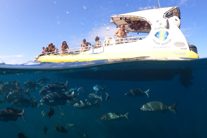 Kauai: Na Pali Coast Super Raft Snorkel Adventure - Wildlife watching along the route