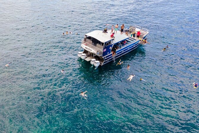 Kauai: NaPali Boat Tour on the Amelia K - The first hour: open water and wildlife