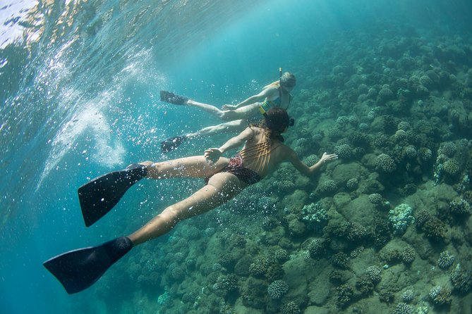 Kauai’s Na Pali Coast Snorkel and Sail Tour - Is $292.48 a fair price?