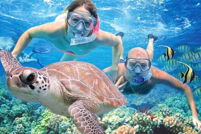 Kauai’s Ultimate Guided Shore Snorkel in South Poipu - Key things to know before you book
