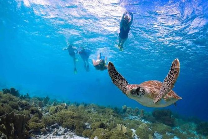 Kauai’s Ultimate Guided Shore Snorkel in South Poipu - What happens at Poipu Beach
