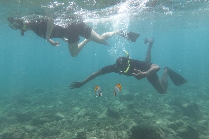 Kauai’s Ultimate Guided Shore Snorkel in South Poipu - The guide makes the difference
