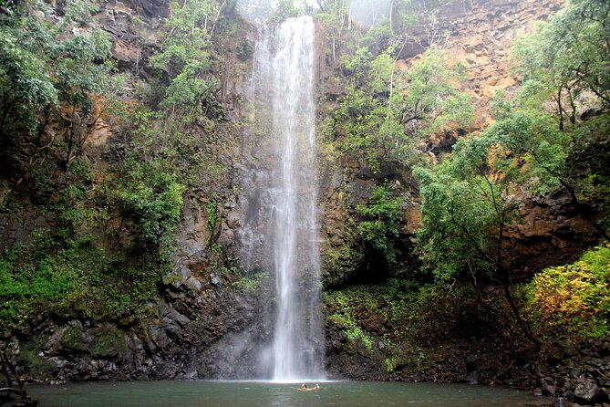 Kauai: Secret Falls Kayak and Hike - Leaving the river for the rainforest trail