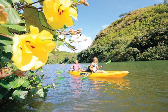 Kauai: Secret Falls Kayak and Hike - Uluwehi Falls, the reward at the end