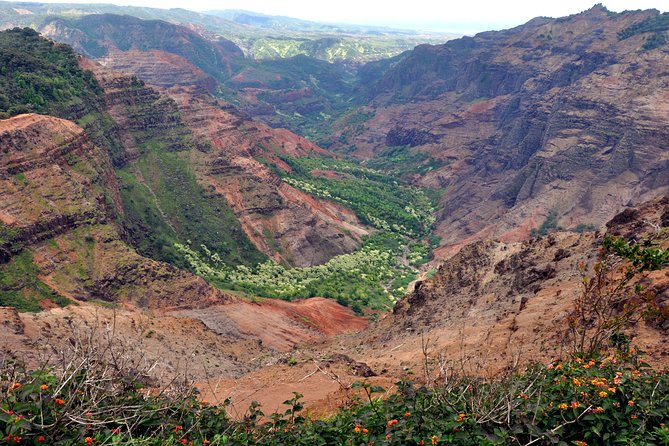 Kauai Waimea Canyon and Koke'e Tour - A long day made easier by the right driver