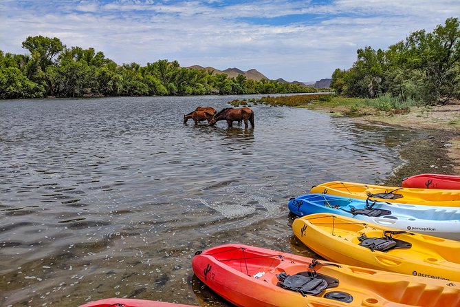 Kayaking the Salt River Foxtail Trip - Smart Packing for the Arizona Sun