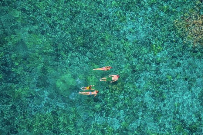 Kealakekua Bay Afternoon Snorkel: Family Fun on the Kona Coast - Wildlife watching along the Kona Coast