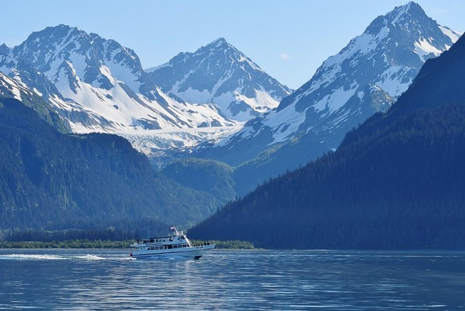 Kenai Fjords and Resurrection Bay Half-Day Wildlife Cruise - Cape Resurrection and the wildlife watch