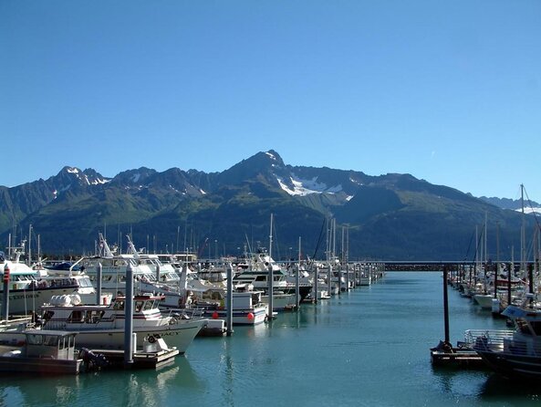 Kenai Fjords and Resurrection Bay Half-Day Wildlife Cruise - What you might see on the water
