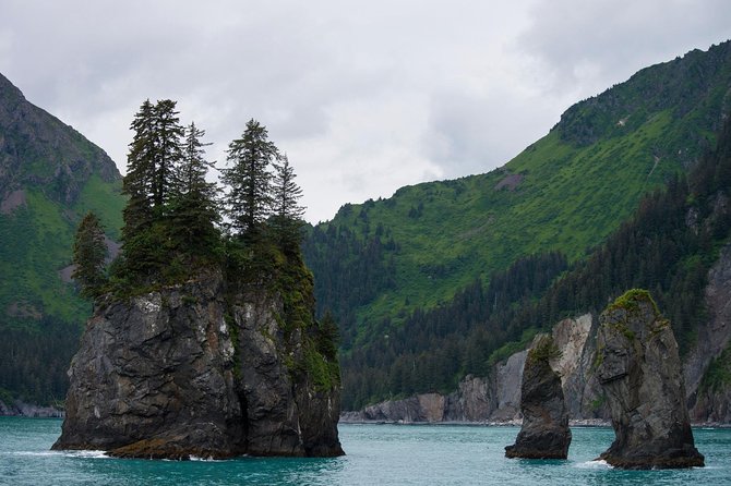 Kenai Fjords and Resurrection Bay Half-Day Wildlife Cruise - Bear Glacier from the water