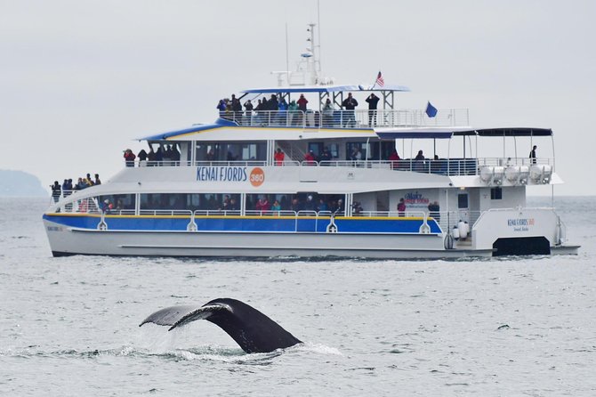 Kenai Fjords National Park Glacier & Wildlife Cruise - Around Cape Aialik and into glacier country