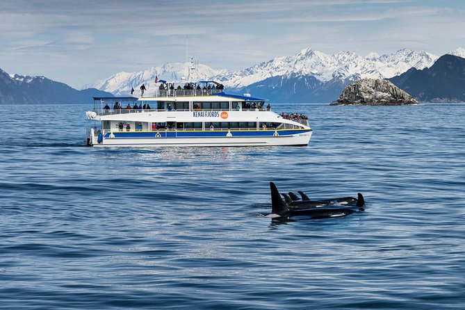Kenai Fjords National Park Glacier & Wildlife Cruise - Booking details, timing, and who should go