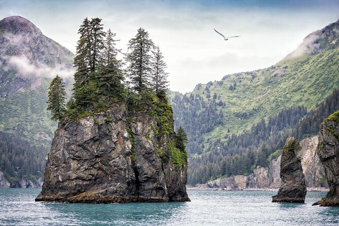 Kenai Fjords National Park Glacier & Wildlife Tour from Seward - Key points to know before you book