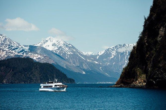 Kenai Fjords National Park Glacier & Wildlife Tour from Seward - Leaving Seward through Resurrection Bay