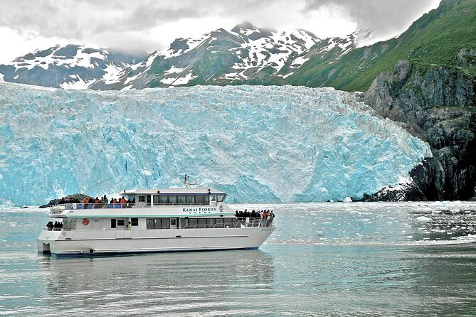 Kenai Fjords National Park Glacier & Wildlife Tour from Seward - Wildlife watching from the observation decks
