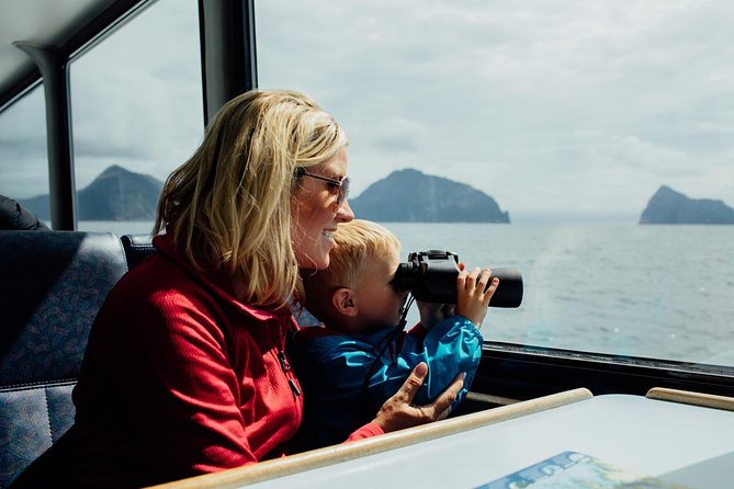 Kenai Fjords National Park Glacier & Wildlife Tour from Seward - What the boat ride really feels like