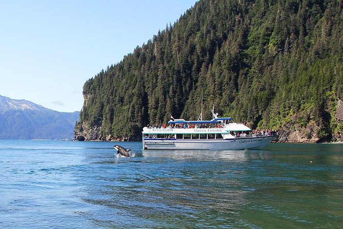 Kenai Fjords National Park Glacier & Wildlife Tour from Seward - Lunch, drinks, and small comforts onboard