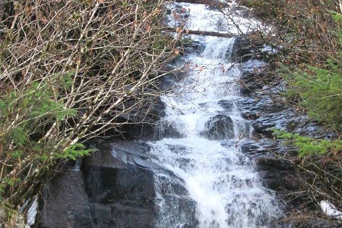 Ketchikan All In One - Herring Cove and the wildlife gamble