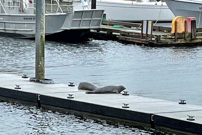 Ketchikan Duck Tour - Who will enjoy this tour most?
