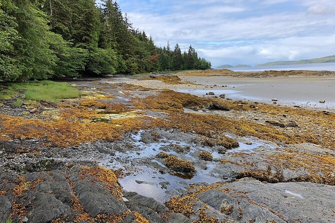 Ketchikan Electric Bike and Rain Forest Hike Ecotour - Who should book this outing
