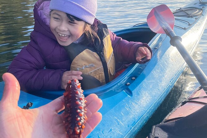 Ketchikan Kayak Eco-Tour - Sea lions, seals, and the chance of whales
