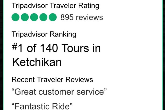 Ketchikan Kayak Eco-Tour - Bald eagle nests and the small islands of Clover Pass