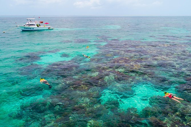 Key Largo Snorkeling Tour - rental mask, fins and vest INCLUDED - Florida Keys National Marine Sanctuary