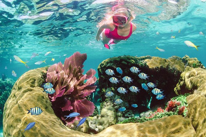 Key Largo Snorkeling Tour - rental mask, fins and vest INCLUDED - Why this works well for first-time snorkelers