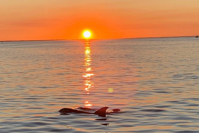 Key Largo Sunset Cruise - Key things to know before booking