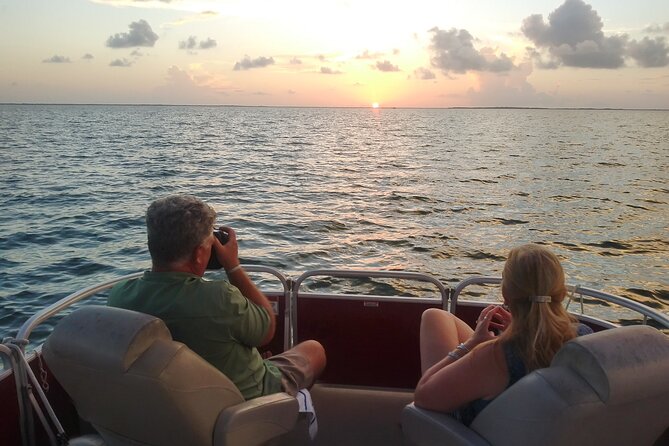 Key Largo Sunset Cruise - Dolphins, birds, and the Florida Keys ecosystem