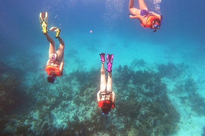 Key Largo Two Reef Snorkel Tour - All Snorkel Equipment Included! - The ride from Garden Cove to the reef