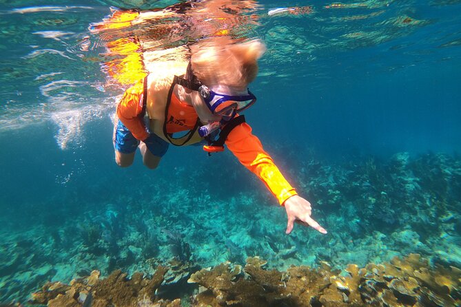 Key Largo Two Reef Snorkel Tour - All Snorkel Equipment Included! - Grecian Rocks and the second reef session