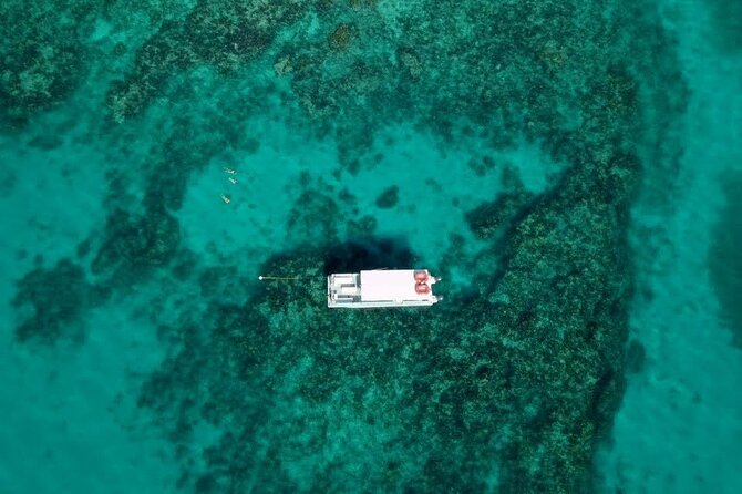 Key Largo Two Reef Snorkel Tour - All Snorkel Equipment Included! - Who should book this Key Largo outing