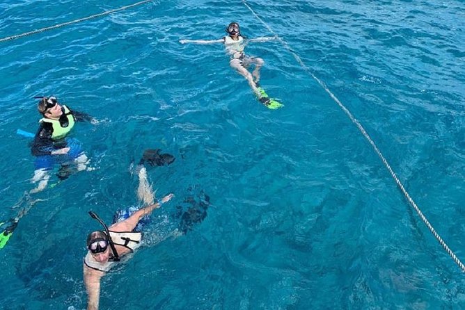 Key West Afternoon Snorkel Sail with Unlimited Cocktails! - Why the open bar begins after snorkeling