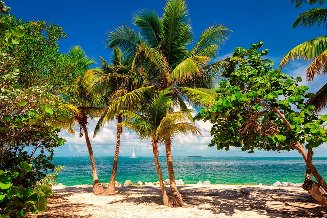 Key West Day Trip from Miami with Activities - Old Town, Hemingway House, and Mallory Square