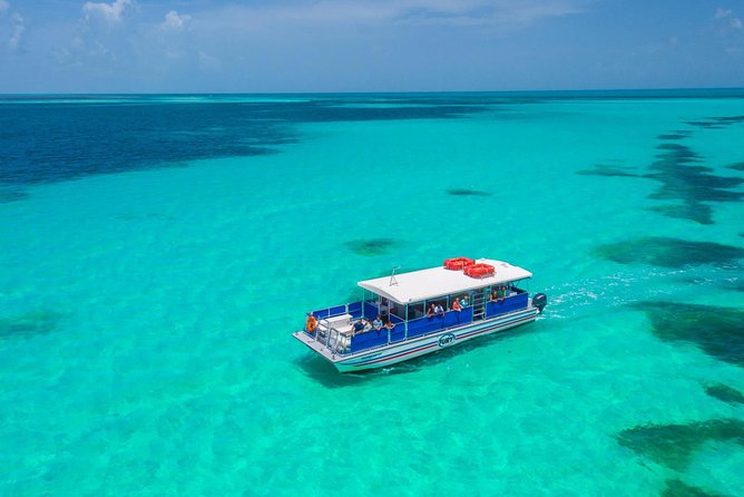 Key West Dolphin Watch and Snorkel Tour - Eco Adventure - The crew makes a real difference