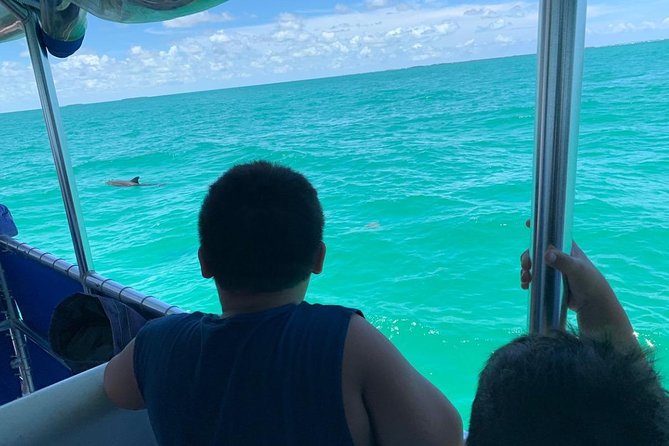 Key West Dolphin Watch and Snorkel Tour - Eco Adventure - Price and value at $79.95