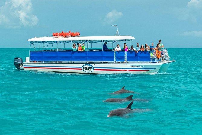 Key West Dolphin Watch and Snorkel Tour - Eco Adventure - The catamaran setup and time aboard