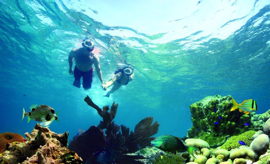 Key West: Dolphin Watching and Snorkeling Eco Cruise Tour - The 45-foot catamaran ride across Key West waters