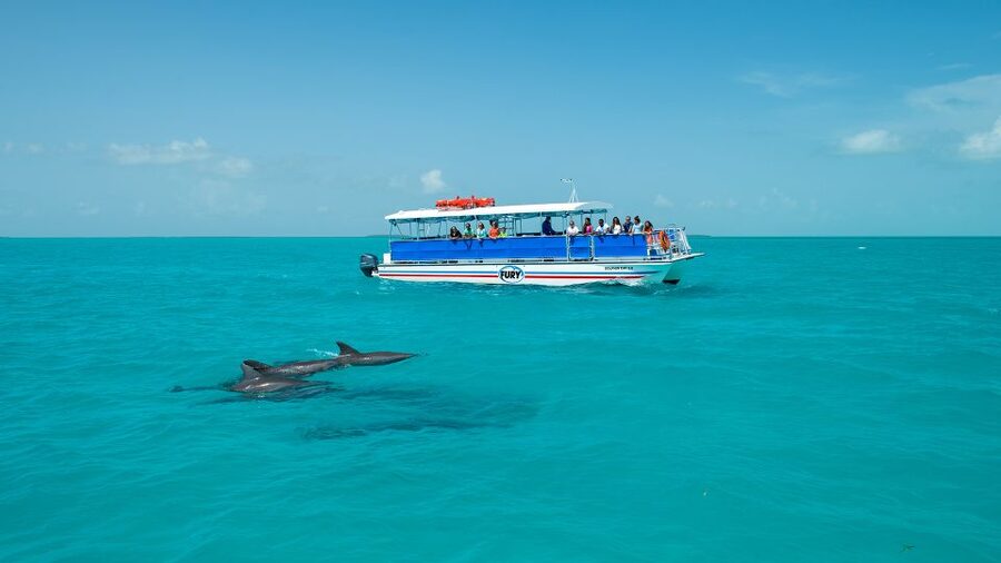 Key West: Dolphin Watching and Snorkeling Eco Cruise Tour - Is the sunset departure worth choosing?
