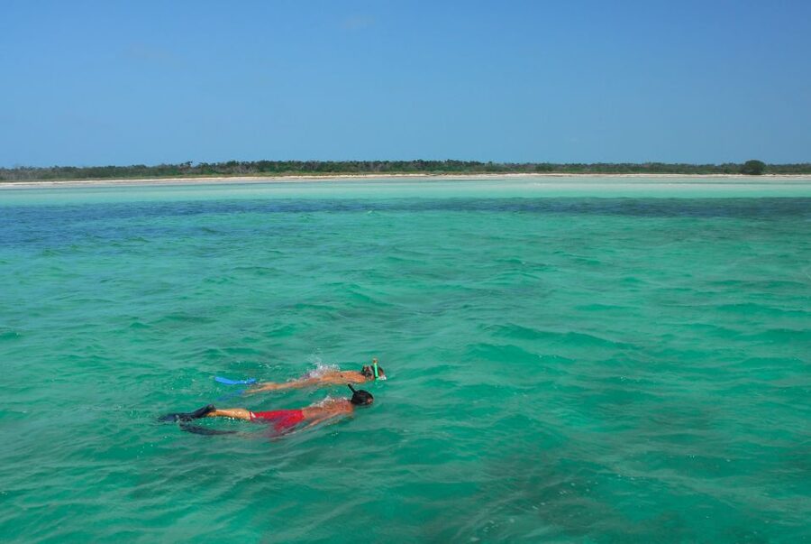 Key West: Dolphin Watching and Snorkeling Eco Cruise Tour - How the $79 price compares with the experience