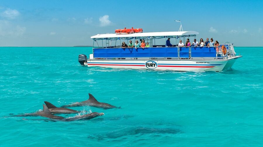 Key West: Dolphin Watching and Snorkeling Eco Cruise Tour - Meeting at Captain’s Corner near Conch Republic Seafood Company